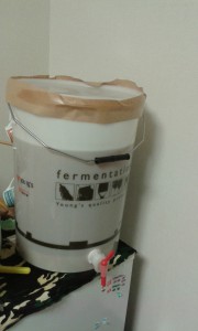 fermenter 1