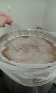 Simple all grain brew