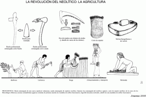 Neolithic agriculture
