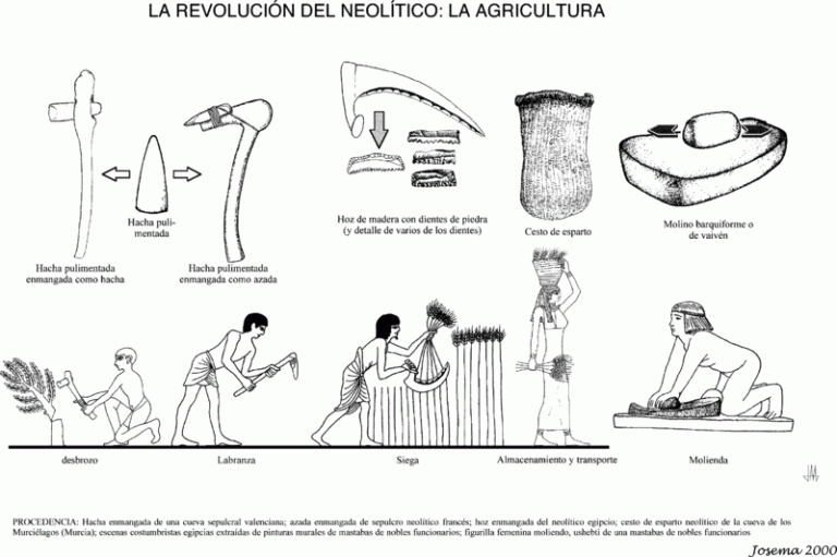 How Beer Created Civilization - Winning Beers
