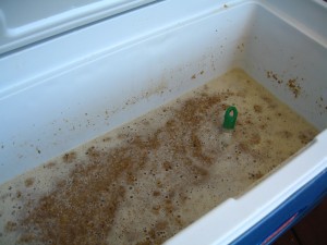 mashing in a cooler