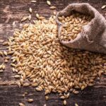 Types of Beer Malt - How to Choose the Right One for You