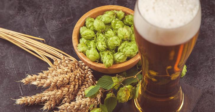 What Is Dry Hopping?
