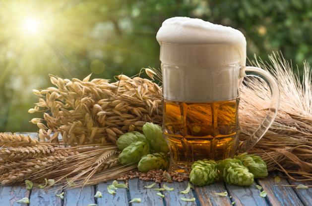 Factors Affecting the Fermentation Process of Beer