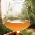 How to Brew Spontaneously Fermented Beer at Home