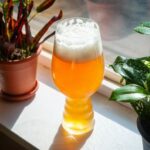 Top 6 Priorities in Making Quality Beer At Home