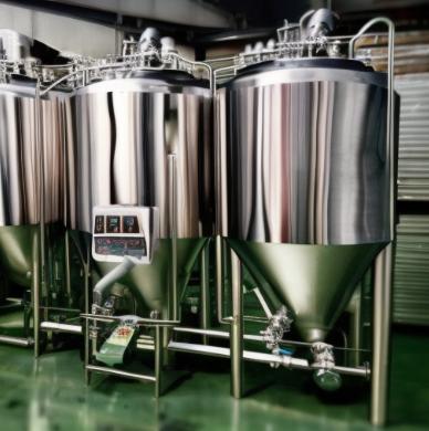 Complete Beer Brewing Machine Options
